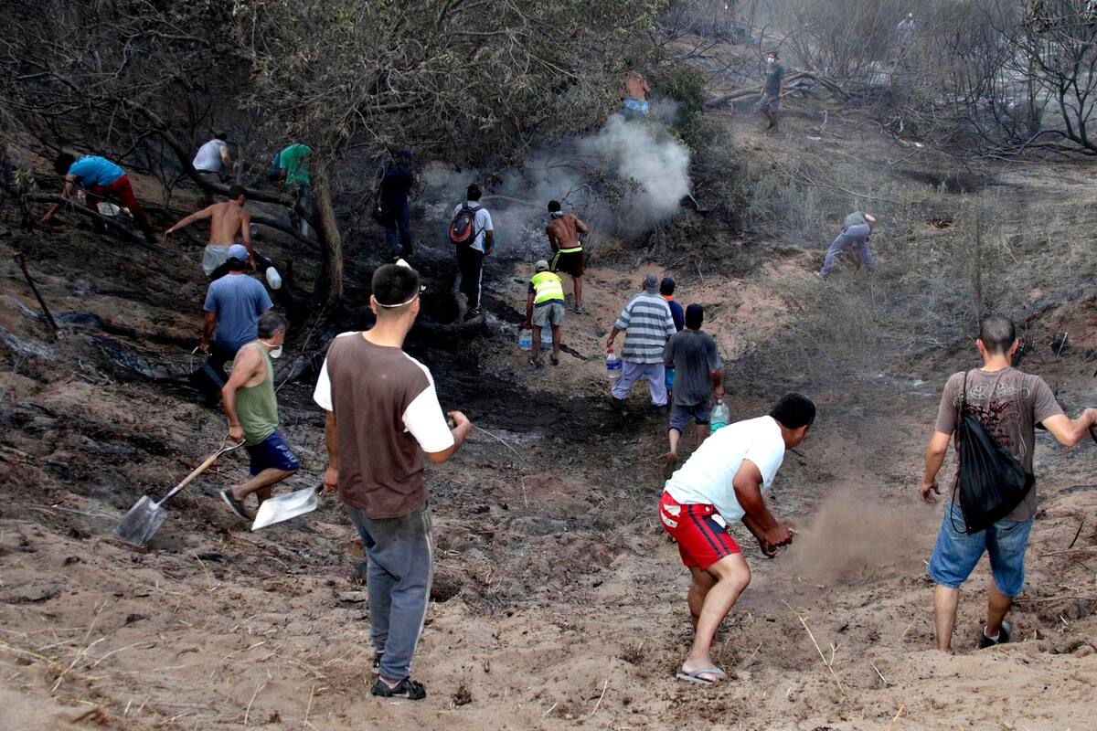Las llamas se esparcieron rápidamente en una zona de bosques