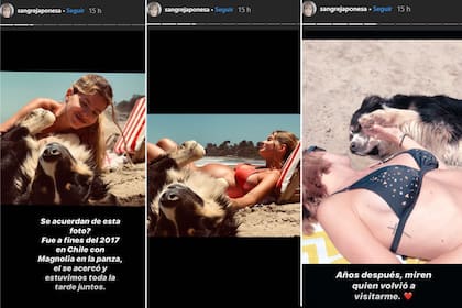 Las llamativas historias que compartió La China Suárez en su Instagram