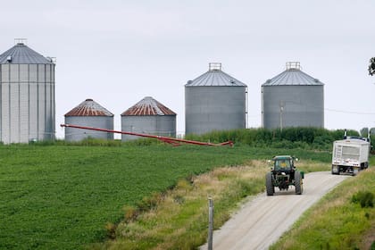 Las lluvias aumentaron la incertidumbre sobre la producción