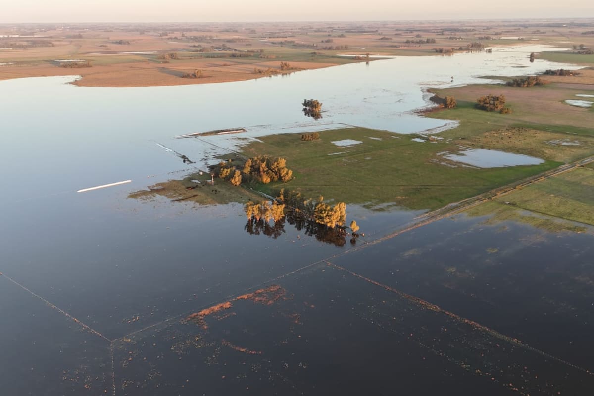 Las lluvias de los últimos meses y el desborde del Salado inundó campos en Roque Pérez, entre otros lugares de la cuenca