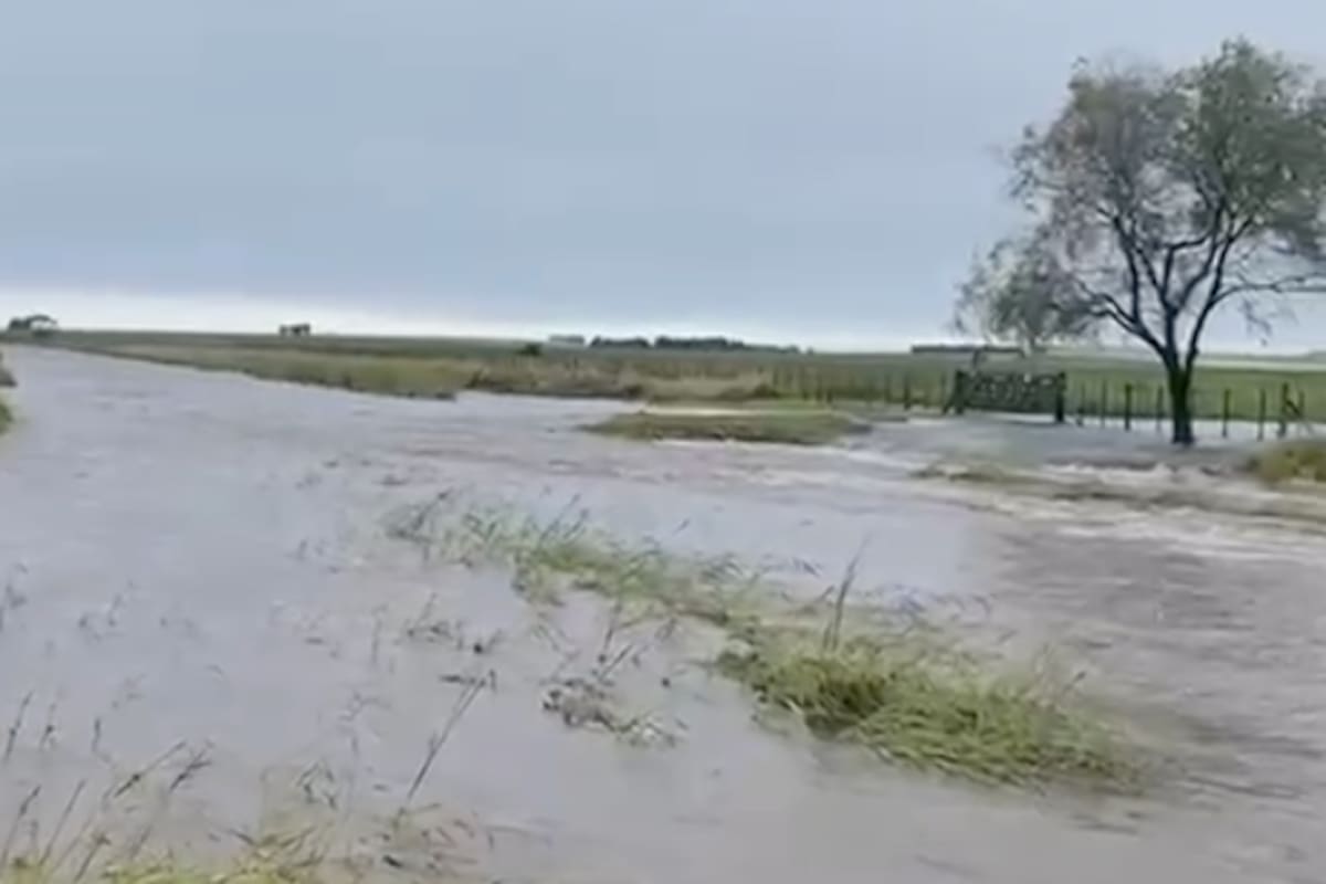 “Las lluvias de marzo-abril no tuvieron relación con el evento El Niño, que todavía no se ha manifestado, pero están dando lugar a un ambiente muy húmedo en gran parte del territorio”, confirma el meteorólogo Leonardo de Benedictis