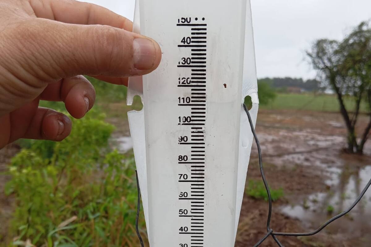 Las lluvias fueron muy dispares en la provincia de Chaco, pero trajeron alivio a los productores