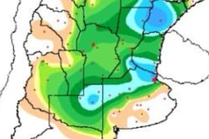 Una nueva ciclogénesis trajo sorpresivas lluvias y mejoran las perspectivas para el trigo