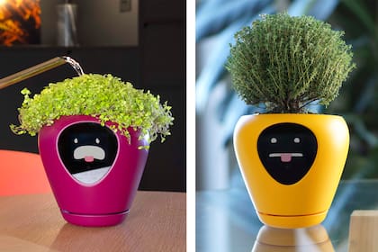 Las macetas Lua "transmiten" las emociones de las plantas