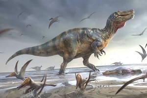 Las manadas de dinosaurios recorrían una playa del Cretácico Superior de Huesca