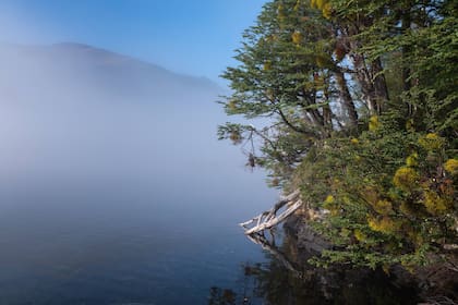 Las mañanas de bruma mágica sobre el lago La Plata