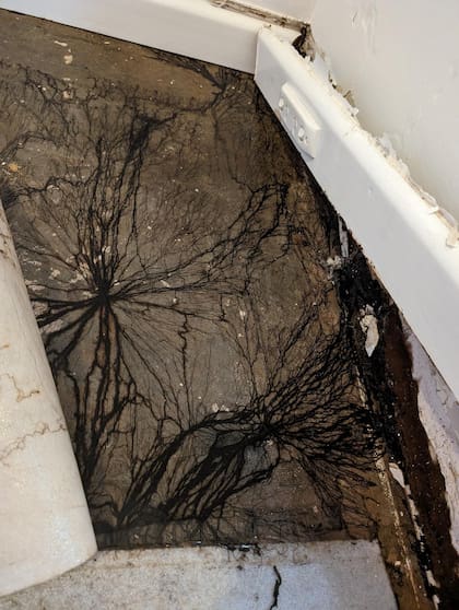 Las manchas negras se apoderaron del suelo de una casa de Australia