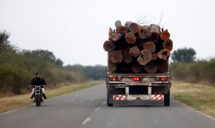 Las maniobras denunciadas tuvieron por fin habilitar desmontes, reducir la protección de bosques y facilitar el aprovechamiento de madera