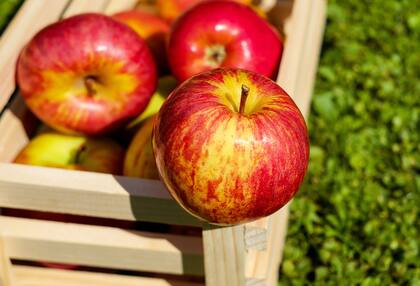 Las manzanas aportan antioxidantes que protegen las células del daño oxidativo y polifenoles, compuestos que mejoran la sensibilidad a la insulina