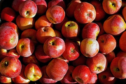Las manzanas son la fruta ideal para ayudar a la limpieza natural del colon