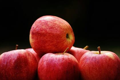 Las manzanas son ricas en fibra