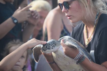 Las Maravillas presenta una gran fauna característica del lugar
