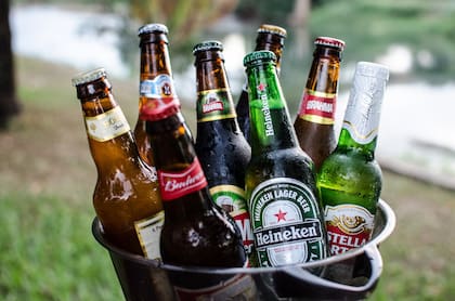 Las marcas ofrecen distintas variedades en su catálogo (Foto: Pixabay)