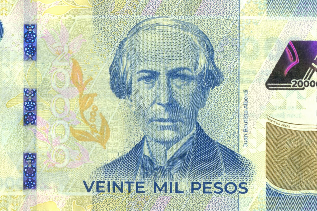 Las marcas que hay que identificar en el nuevo billete de $20.000