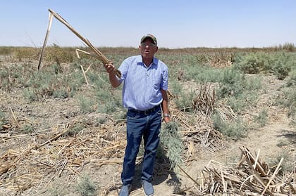 Las marismas de la Mesopotamia son frágiles al cambio climático y a la contaminación que sucede río arriba