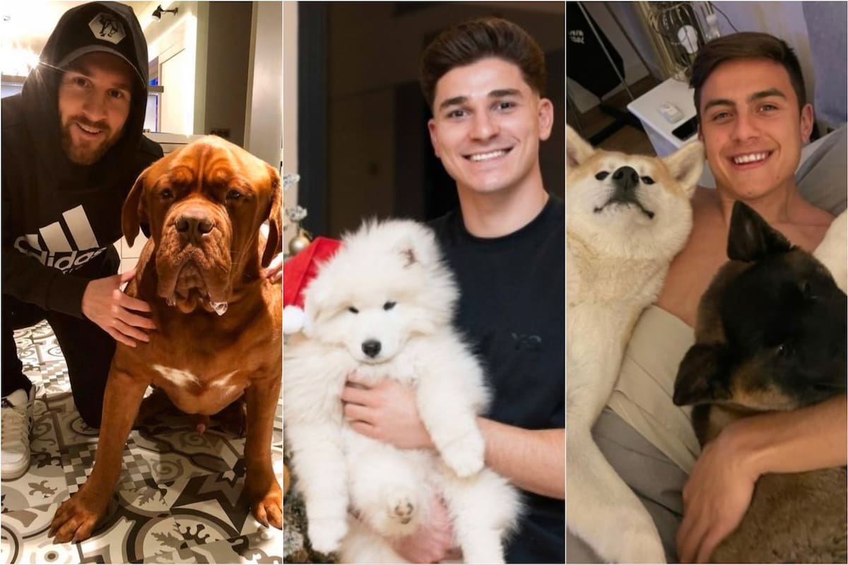 Las mascotas de los jugadores de la selección argentina