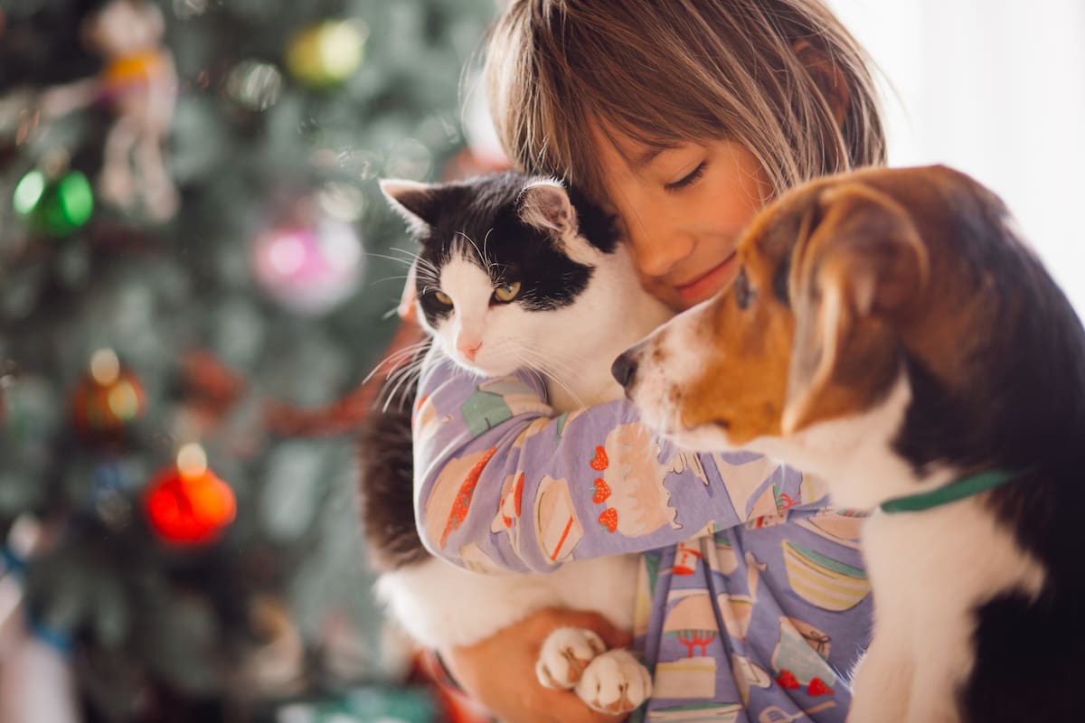 Las mascotas ofrecen compañía y amor incondicional, lo que puede mejorar significativamente el bienestar emocional (Foto de carácter ilustrativa: Freepik)
