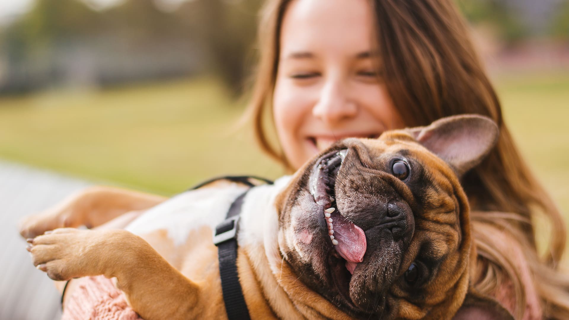 Las mascotas suelen traer luz y amor a la vida de las personas