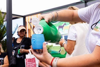 Las mateadas temáticas organizadas por Banco Provincia reúnen a productores, emprendedores y visitantes para conversar sobre producción sustentable, innovación y herramientas financieras en el marco de Expoagro.
