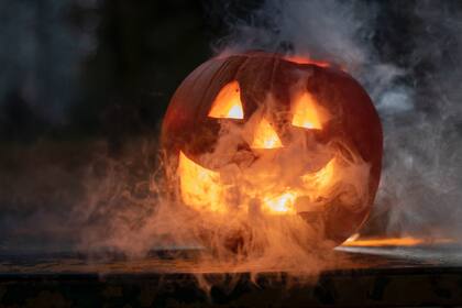 Las mejores fiestas de Halloween en Miami; las fotos son ilustrativas