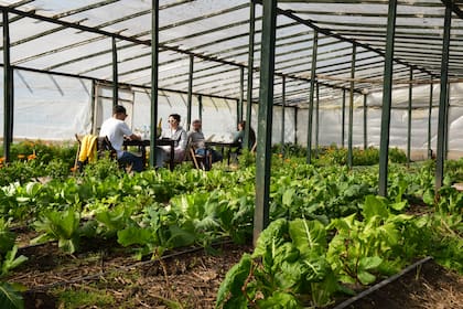 Las mesas al lado de la huerta en Coronillo