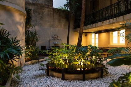 Las mesas miran hacia el patio, repleto de plantas