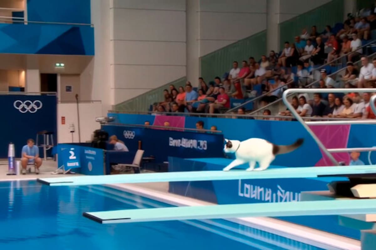 Las Michi Olimpiadas creadas con IA marcaron tendencia en redes sociales