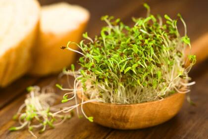 Las microverduras podrían aportar una herramienta más para lidiar con deficiencias nutricionales