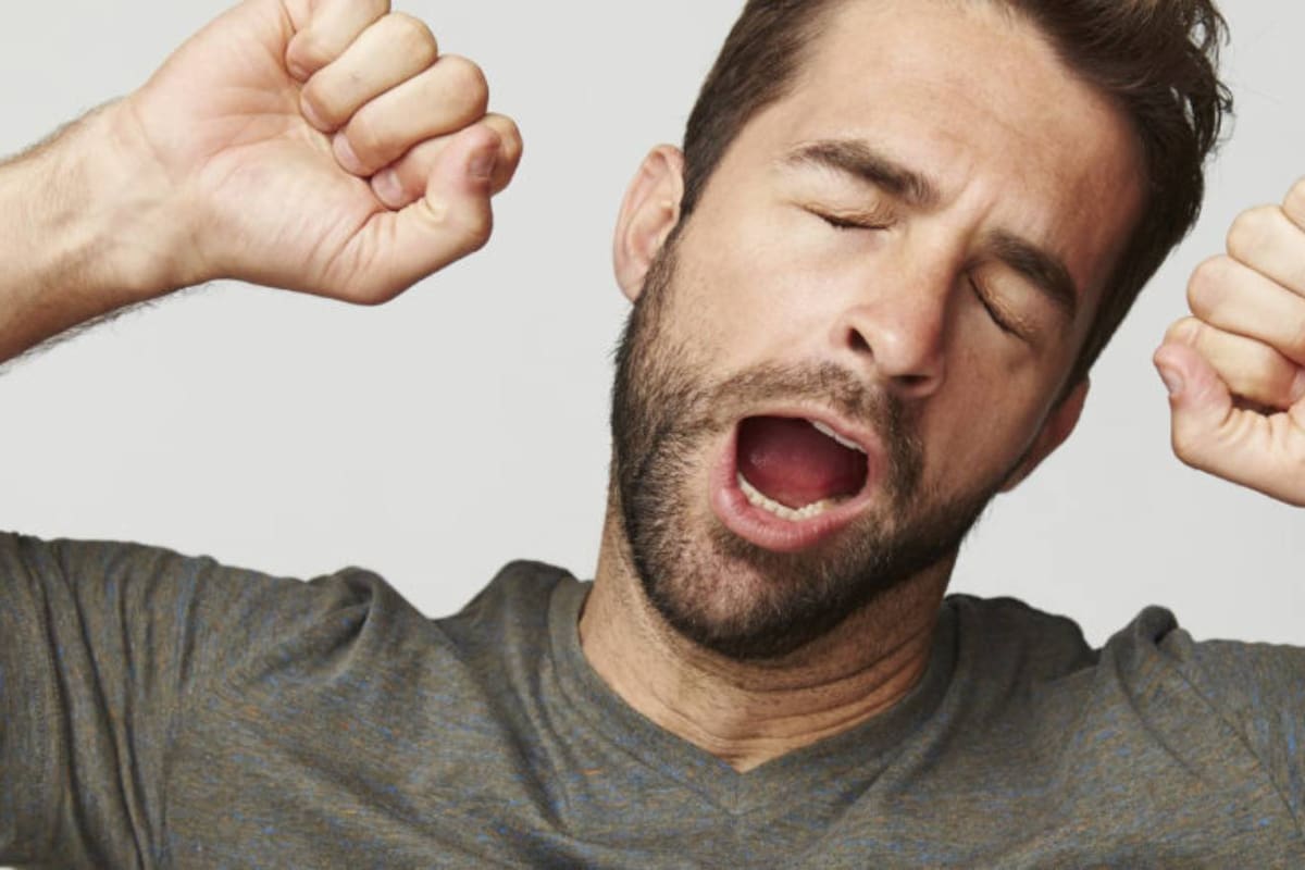 Las mitocondrias juegan un papel crucial en el cansancio