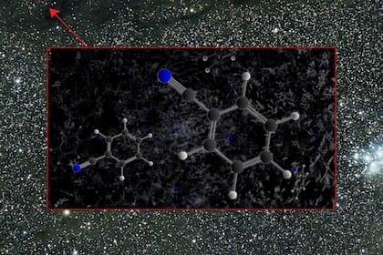 Las moléculas aromáticas existen en la composición química de los seres humanos y otros animales, y se encuentran en alimentos y medicinas