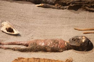 Las momias chinchorro son la evidencia más antigua conocida de cuerpos momificados artificialmente en el mundo