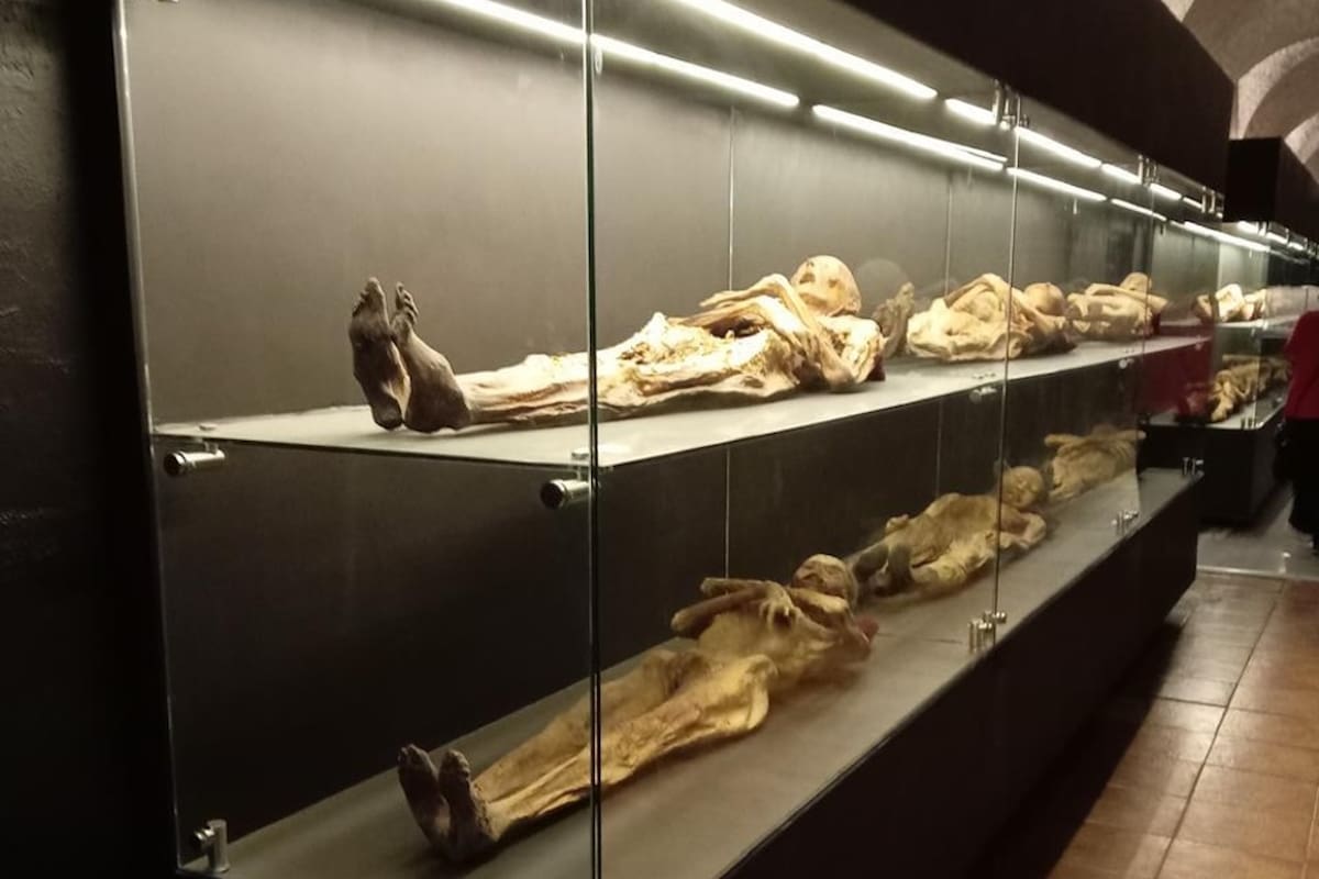 Las momias se encuentran exhibidas hace años en una vitrina del museo