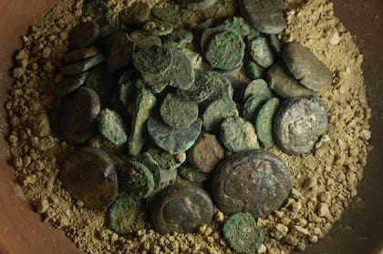 Las monedas con el rostro de Cleopatra (Foto: Gentileza Ministerio de Turismo y Antigüedades de Egipto)
