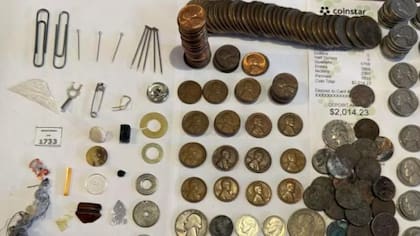 Las monedas encontradas en el botellón (Foto:
Reddit @Crimsonkitsune333)
