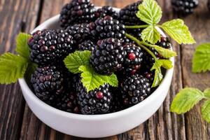 Las moras son fuente de vitaminas, minerales y nutrientes esenciales para el cuerpo