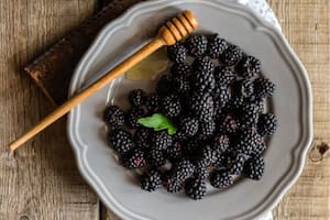 Las moras tienen nutrientes esenciales para colaborar con la salud en general