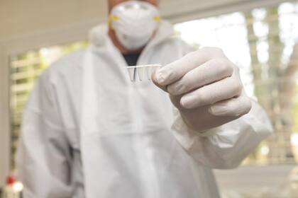 Las muestras comenzaron a procesarse en el Laboratorio de Salud Pública de la provincia.