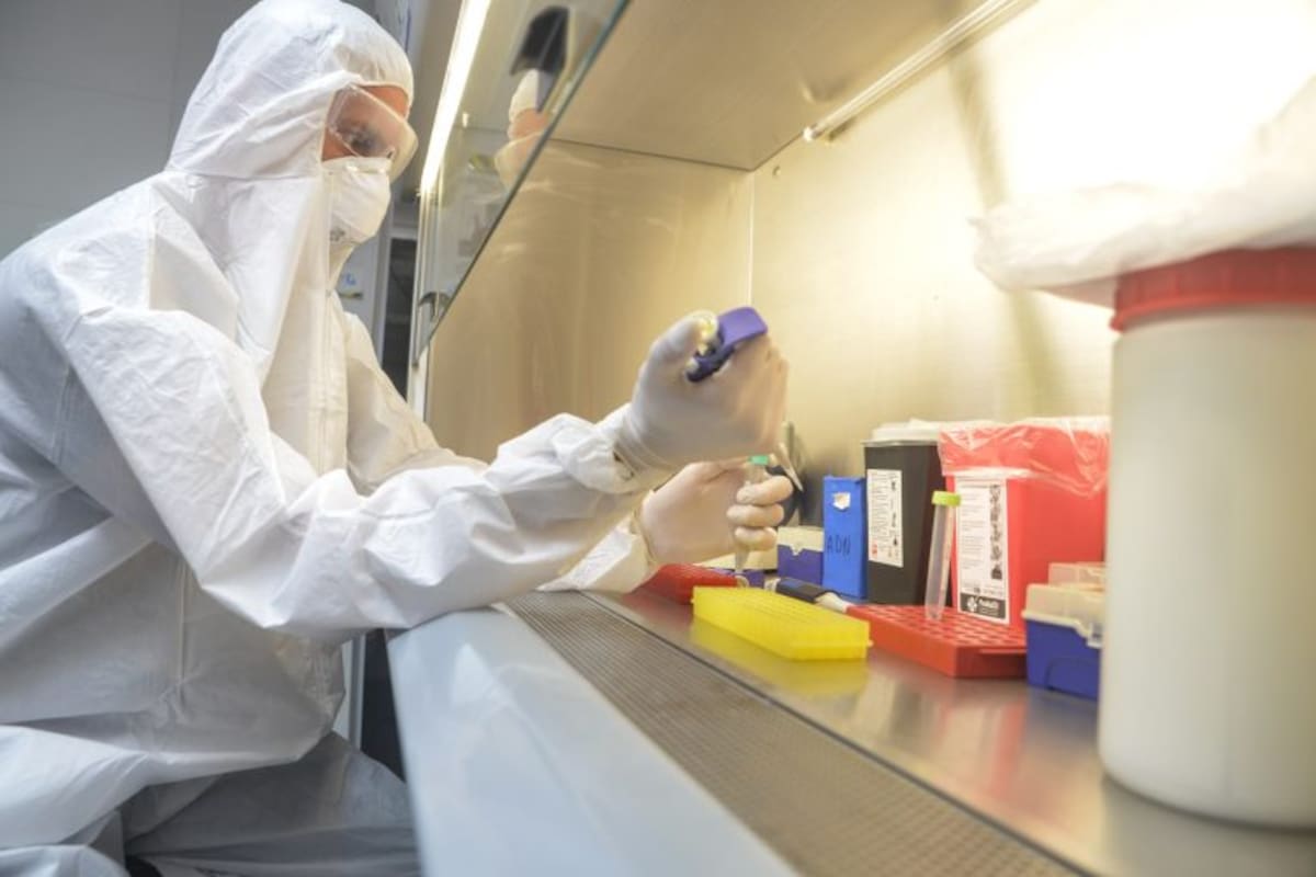 Las muestras comenzaron a procesarse en el Laboratorio de Salud Pública de la provincia.