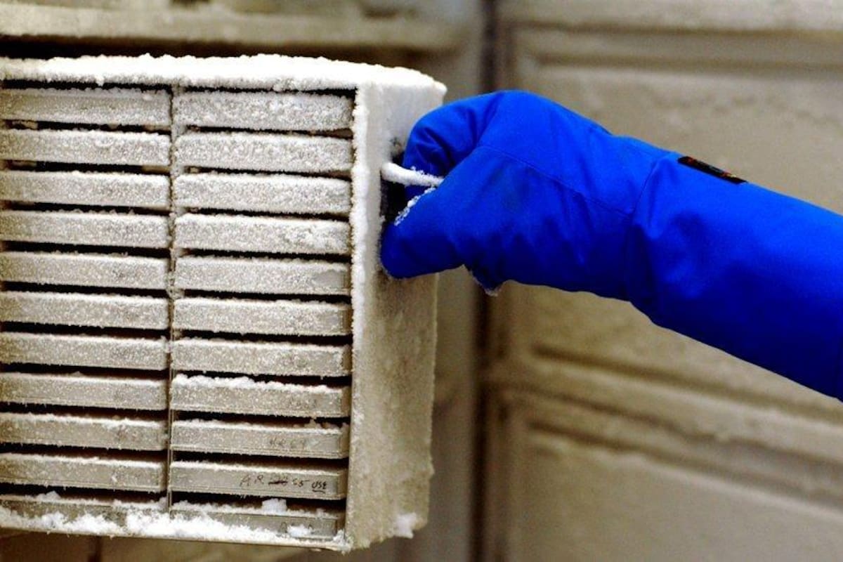 Las muestras de 20 años de trabajo quedaron inservibles