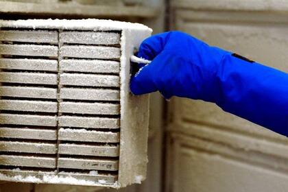 Las muestras de 20 años de trabajo quedaron inservibles