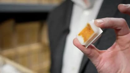 Las muestras se almacenan en cera para su preservación