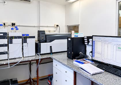 Las muestras se analizaron por espectrometría de masas