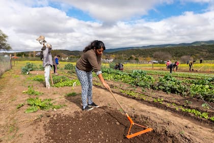 Las mujeres desempeñan un papel clave para la alimentación