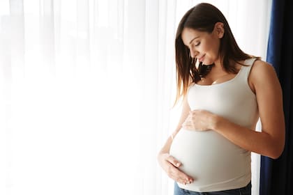 Las mujeres embarazadas o en período de lactancia pueden acceder a estos beneficios