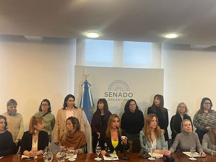 Las mujeres recogieron testimonios que se replicaron durante 30 años; “Era nuestro profesor, nuestro compañero de trabajo, nuestro jefe de cátedra, nuestro vecino, nuestro colega, nuestro acosador”, sostuvo Agustina Kämpfer, una de las denunciantes