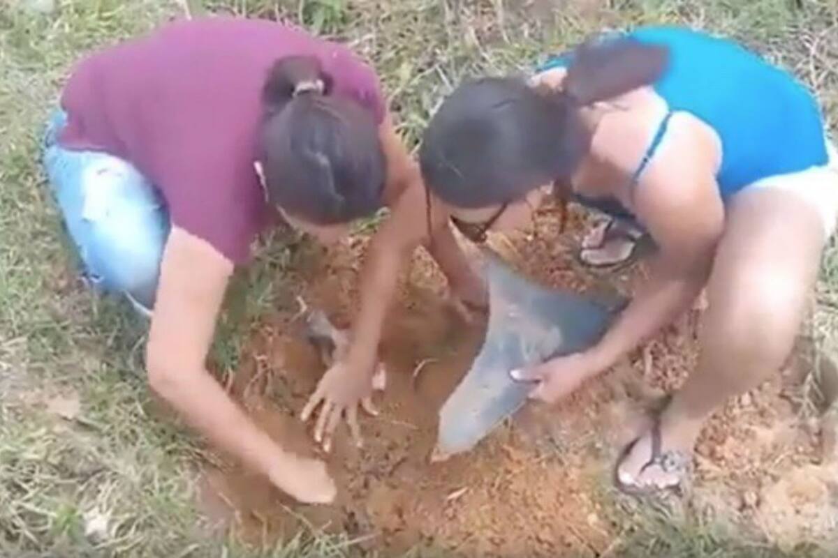 Las mujeres rescataron al pobre animal