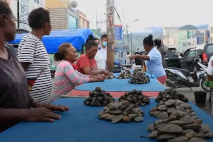Las mujeres venden las almejas en los mercados locales