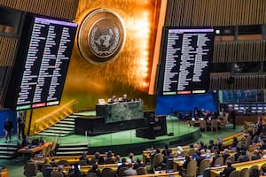 Las Naciones Unidas impulsan el Día Internacional de los Derechos Humanos (AP Foto/Bebeto Matthews)