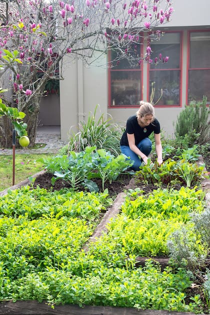 Las necesidades de consumo de una familia van a determinar el tamaño de la huerta, además del espacio disponible en un jardín o una terraza.