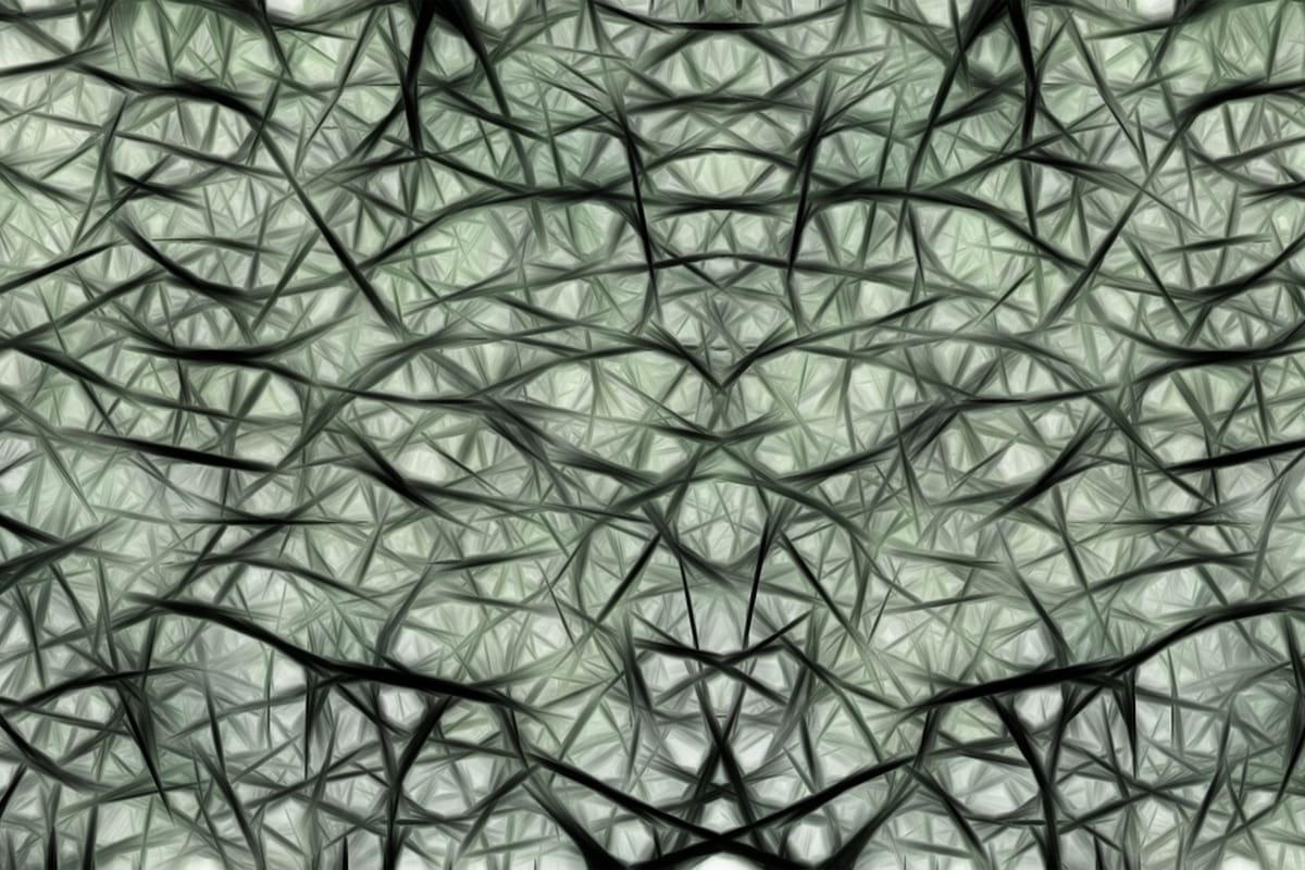 Las neuronas se modifican según la actividad que realicen.